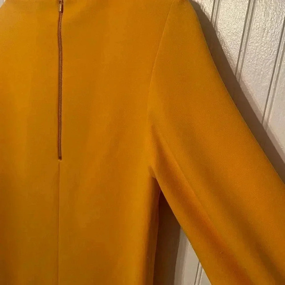 Tibi Boat Neck Shift Dress - Picture 9 of 12